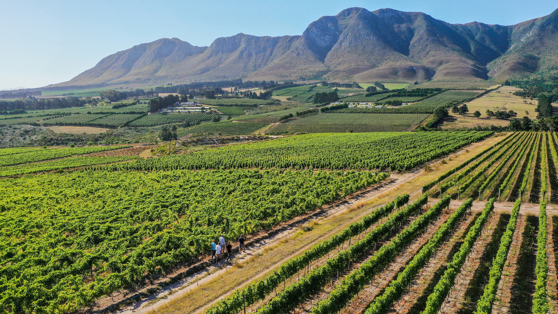 Pioneering Hemel-en-Aarde Investment Model now Makes Owning a Wine Farm and Becoming a Winemaker More Accessible