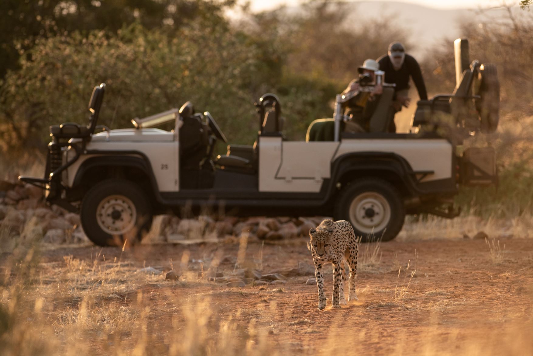 Tswalu Introduces Photographic Safaris with Specialist Guide